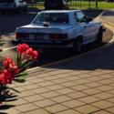 Mercedes 1987  560-SL Convertible White/Palomino &quot;Rare&quot; AMG Trim Pkg. $9995