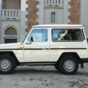 Mercedes-benz g-class w460 GD240