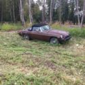 mgb parting out