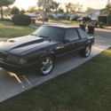 Modular Cobra 4v Notchback