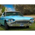 Moving -- Unfortunately Must Sacrifice 1965 Ford Thunderbird