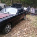 Mustangs 1966 6 cyl coupe & 1966 8 cyl convertable both needing restorations