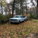 My Collection: 86 Wagoneer, 86 CJ 7, 2-69 wildcats, 1969 F250 95golf
