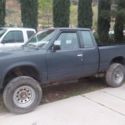 Neson 720 4x4 toe behind. Great for mudding 5 speed automatic hubs