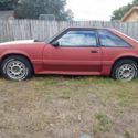 NO RESERVE 1988 Mustang GT 5 speed