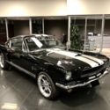 No Reserve Ford Mustang Fastback Shelby GT 350 Tribute Tag 1965 1966 1967 1968