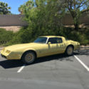 NO RESERVE VERY RARE 1980 PONTIAC FIREBIRD YELLOW BIRD 1 OWNER 54K ORIGINAL MILE