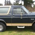 NO RESEVER SELLING WORLD WIDE 1990 FORD BRONCO  LOW MILES RUST FREE V8 5 SPEED