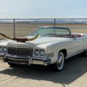 One of a Kind. Head Turner. 49ER Fan Special.