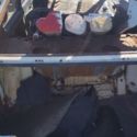 OPEL KADETT body
