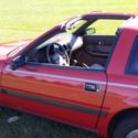 Original 1984 Cherry Red Nissan 5 Speed Turbo.auto