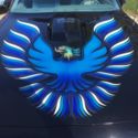 ORIGINAL OWNER, OOAK CUSTOM PAINT, 1979 TRANS AM ONLY 61K MILES,WITH BUILD SHEET