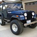 Outstanding CJ5 / Frame off / Custom Body / Custom Interior