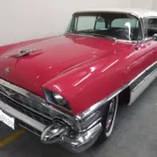 packard used cars for sale