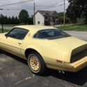 Pontiac Firebird Esprit Yellow Bird