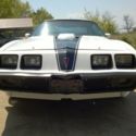 Pontiac Firebird Trans Am 1981