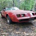 Pontiac trans am 2nd gen 1981