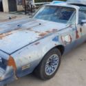 Pontiac Trans Am  400ci - 4 speed - Posi - AC, PS, PW, PB, T-Tops