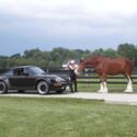 Porsche 930 Turbo 1979 Mocha Brown Concours Show Quality 6,800 Miles