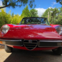 pristinely sorted Red Alfa Spider