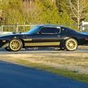 Pro tour 1981 trans am