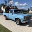 Rare 1976 Bonanza Spirit of 76 Bicential Chevrolet C-10 Truck