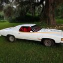 RARE 1977 PONTIAC LE MANS CAN AM
