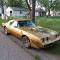 RARE 1979 Trans Am Special Edition NO RESERVE Y84 SE HARDTOP t-top delete Bandit
