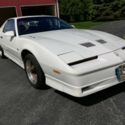Rare collectable Trans Am GTA