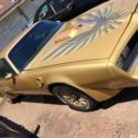 Rare Gold , 1978 Trans Am WS4