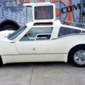 Rare Gullwing Bradley GT2, Garage Find, VW Type 3 Platform, 1 of 500 Produced