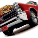 Rarely, you get the opportunity to acquire a classic car this great