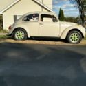Really nice little bug