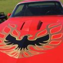 Red Hot 1977 TransAm