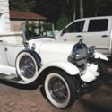 Shay Ford Model A Roadster