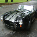 shelby cobra BLACK W/GRAY RACING STRIPES