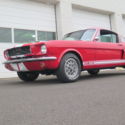 Shelby GT350 Clone Replica Tribute 289 V8 4 bbl 5 speed manual