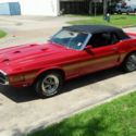 Shelby GT350 Convertible Tribute