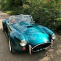 Shell Valley Cobra