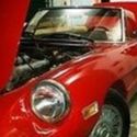 SHOW READY 1981 ALFA ROMEO SPIDER VELOCE