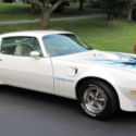 Show winner - 1973 Pontiac Firebird Trans Am
