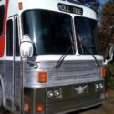 Silver Eagle 10