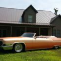 Southern California Beauty-Over the Top Paint & Body-1 Of a Kind-Thousands Spent