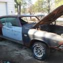 Special Paint Chevelle that needs a complete restoration