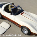 STINGRAY CLASSIC CAR GTO JUDGE FIREBIRD GALAXIE 442 409 CAMARO BELAIR AMG MALIBU