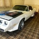 survivor 1979 Pontiac Trans AM