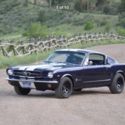 Sweet Fastback!