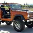 Tall Man Family Cage, Hammerhead Copper Paint, Head Turner!