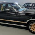 THE LAST AND GRANDEST OF THE BIG CATS - INCREDIBLE ORIGINAL CONDITION