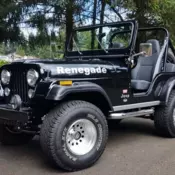 Total frame off restoration.